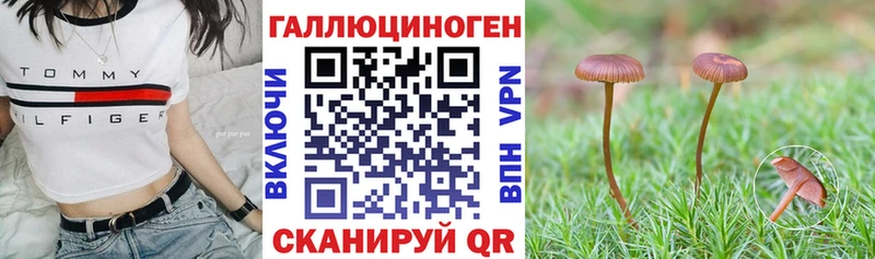 Галлюциногенные грибы Magic Shrooms  как найти закладки  Короча 